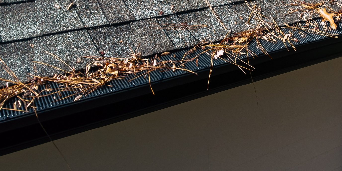 RainDrop gutter guard installed along the eave of an Asheville area home, with pine needles shedding off the top