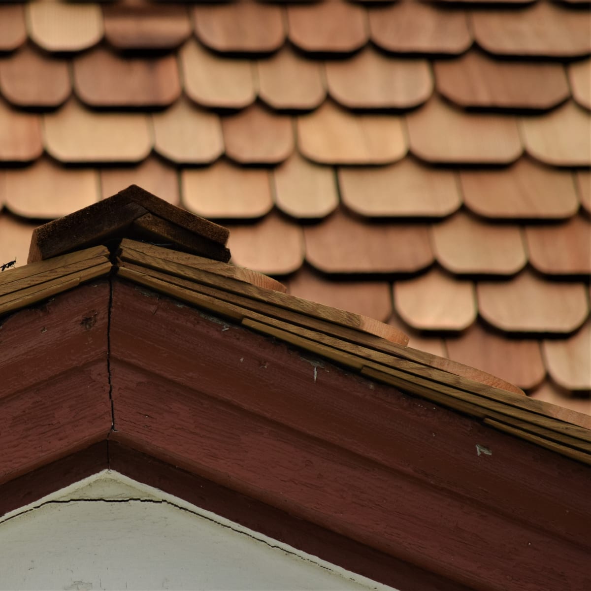 Cedar shingle roof at a gable peak with a finished ridge