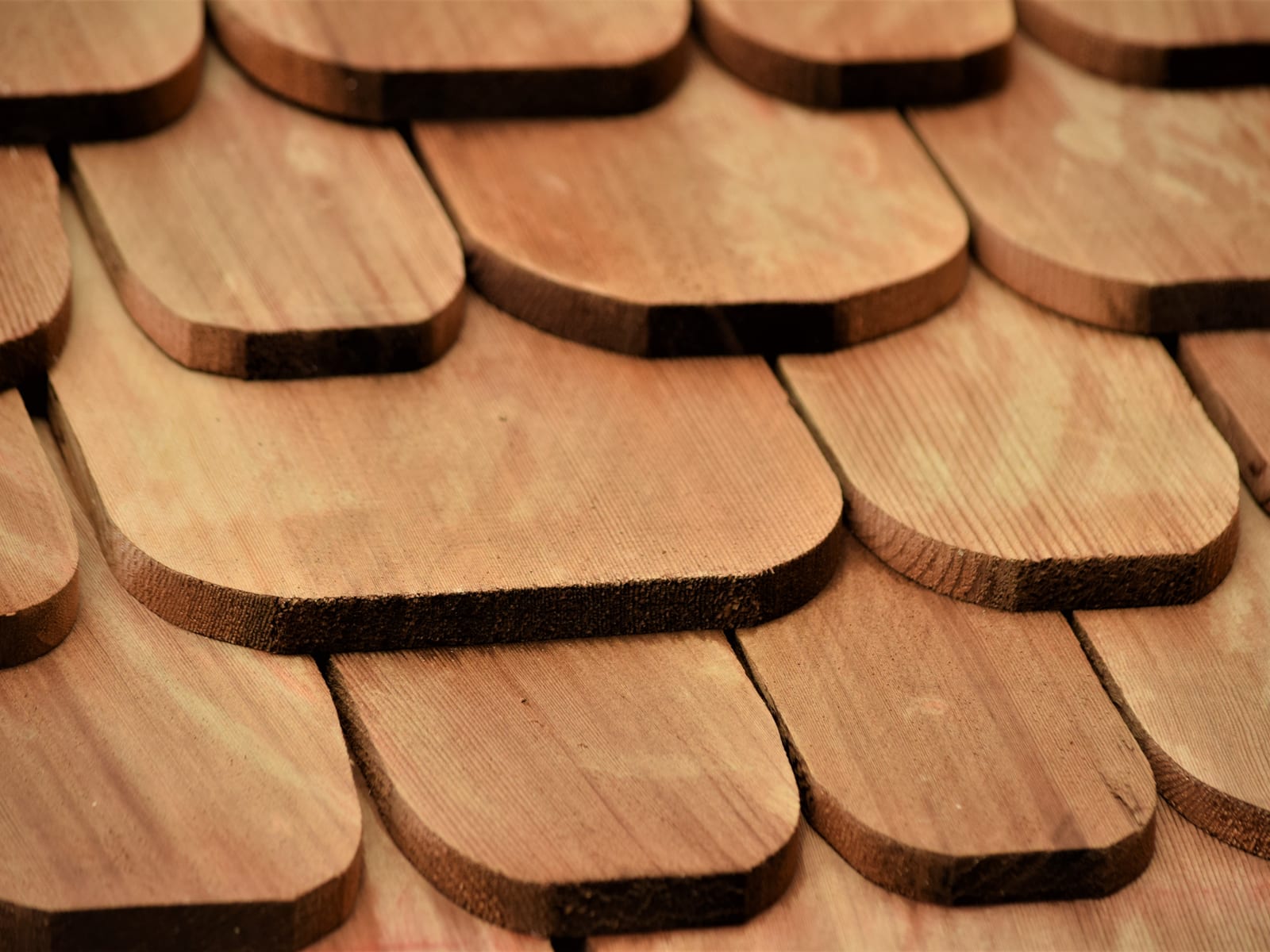Close-up of new cedar shingles with rounded butts laid in even courses