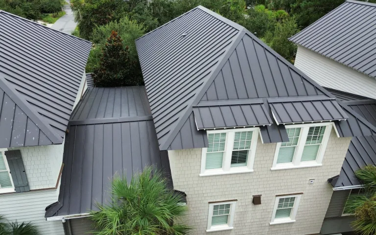 Standing-seam metal roof on a Lowcountry home framed by palm trees