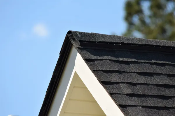 Atlas Pinnacle Pristine Black shingles on a roof replacement by Baker Home Exteriors
