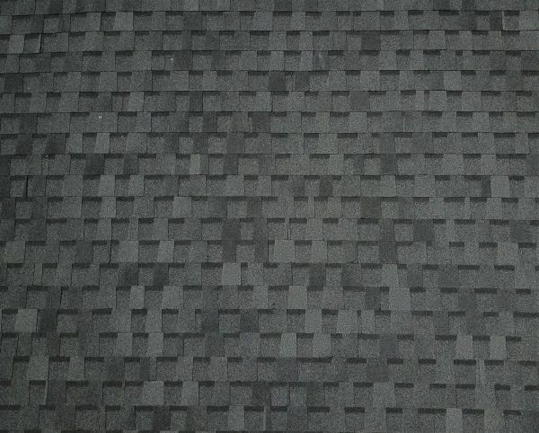 Atlas Pinnacle Pristine Black shingles on a roof replacement by Baker Home Exteriors