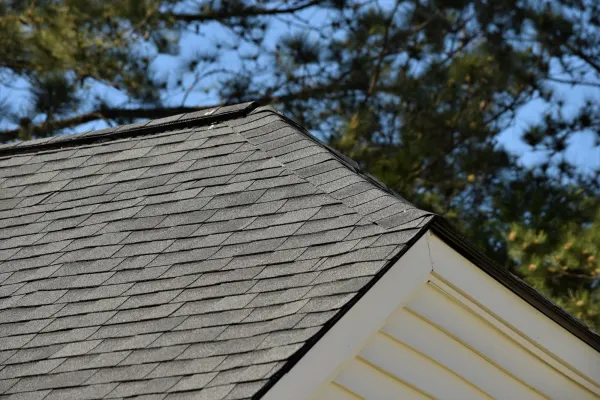 Atlas Pinnacle Pristine Black shingles on a roof replacement by Baker Home Exteriors