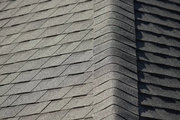 Atlas Pinnacle Pristine Black shingles on a roof replacement by Baker Home Exteriors