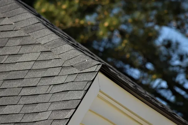 Atlas Pinnacle Pristine Black shingles on a roof replacement by Baker Home Exteriors
