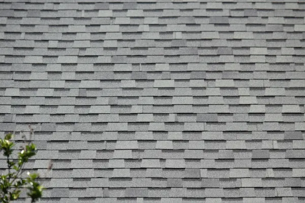 Atlas Pinnacle Pristine Coastal Granite shingles on a roof replacement by Baker Home Exteriors