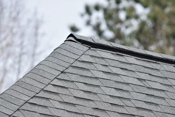 Atlas Pinnacle Pristine Pewter shingles on a roof replacement by Baker Home Exteriors