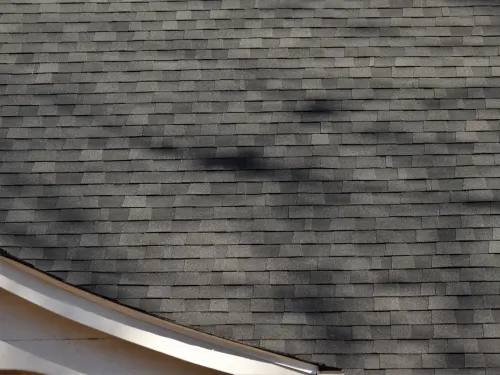 CertainTeed Landmark Charcoal Black shingle color on a completed roof