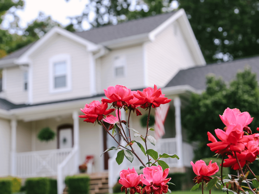 Asphalt Shingle home with pink flowers out front in Asheville, NC.