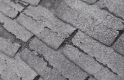 cracked shingles on a storm damaged roof