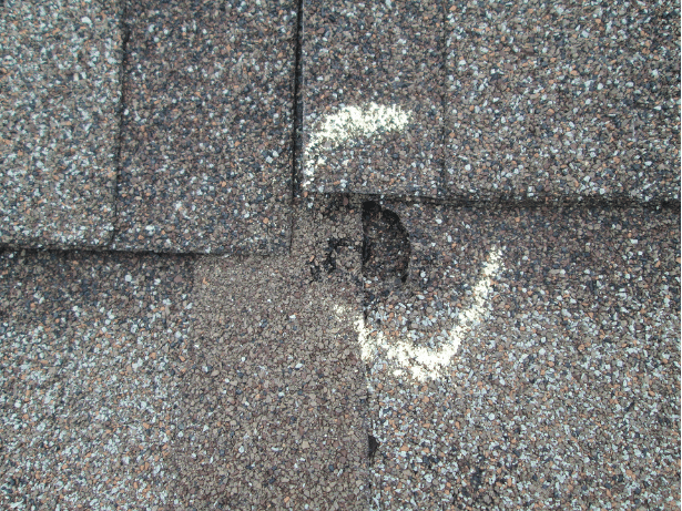 Hail damage on shingle roof